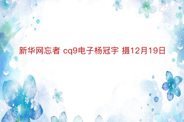 新华网忘者 cq9电子杨冠宇 摄12月19日